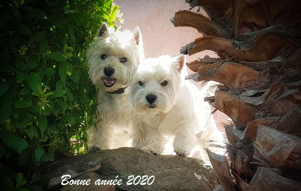photos 2020